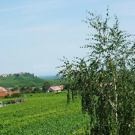 D'hotes Du Vignoble Bed & Breakfast