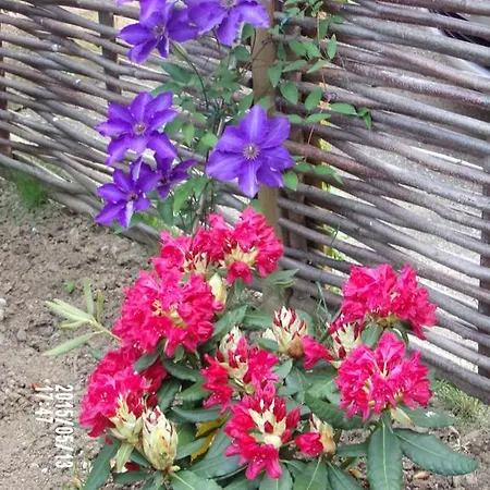 Bed & Breakfast D'hotes Du Vignoble Riquewihr