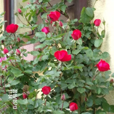 D'hotes Du Vignoble Bed & Breakfast